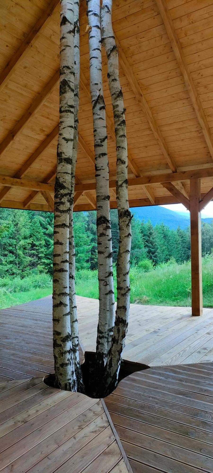 Pod Wielka Zalesiona Gora Ветлина Экстерьер фото